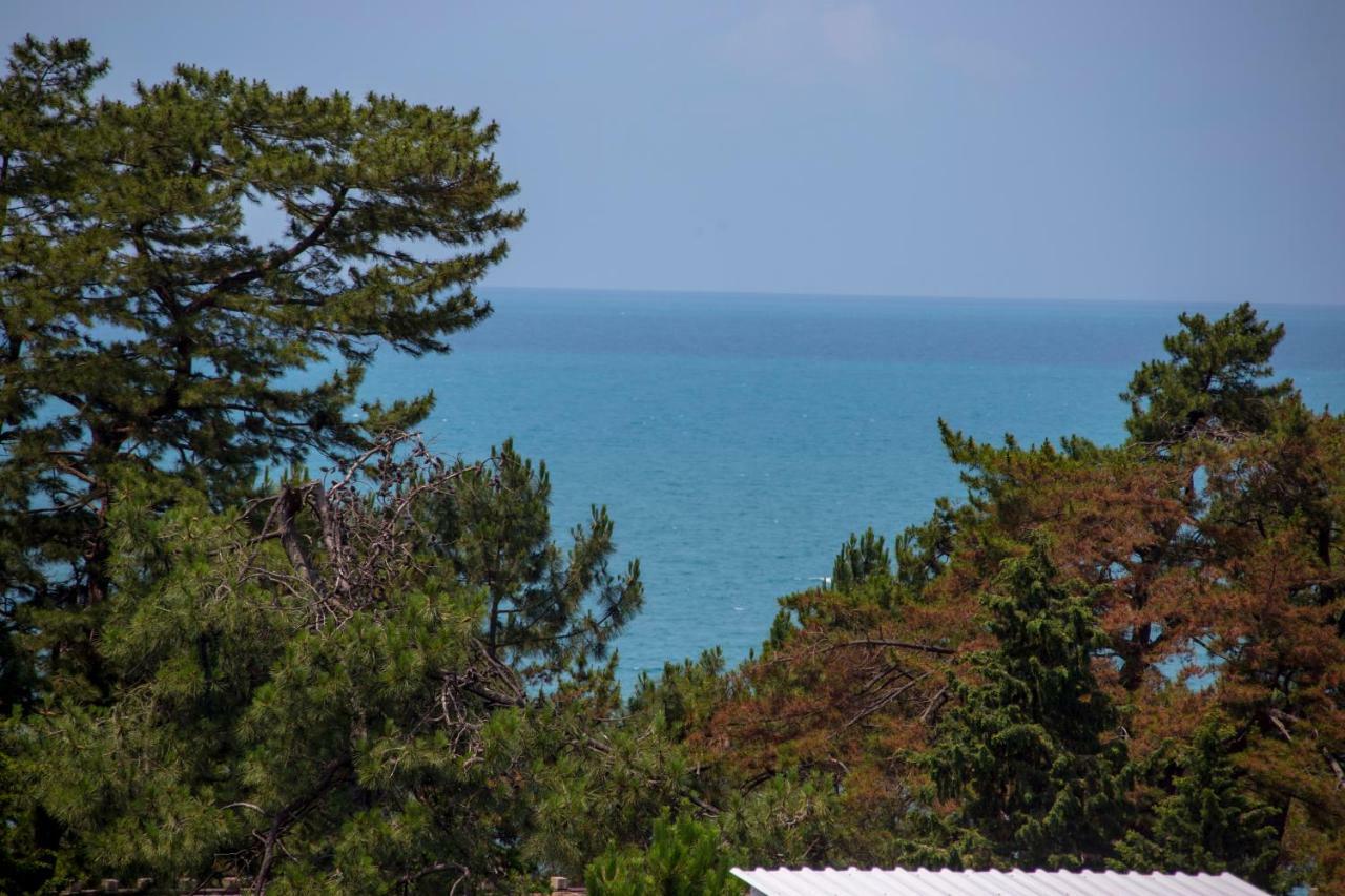 Chveni Ezo Boutique Hotel Kobuleti Exterior photo